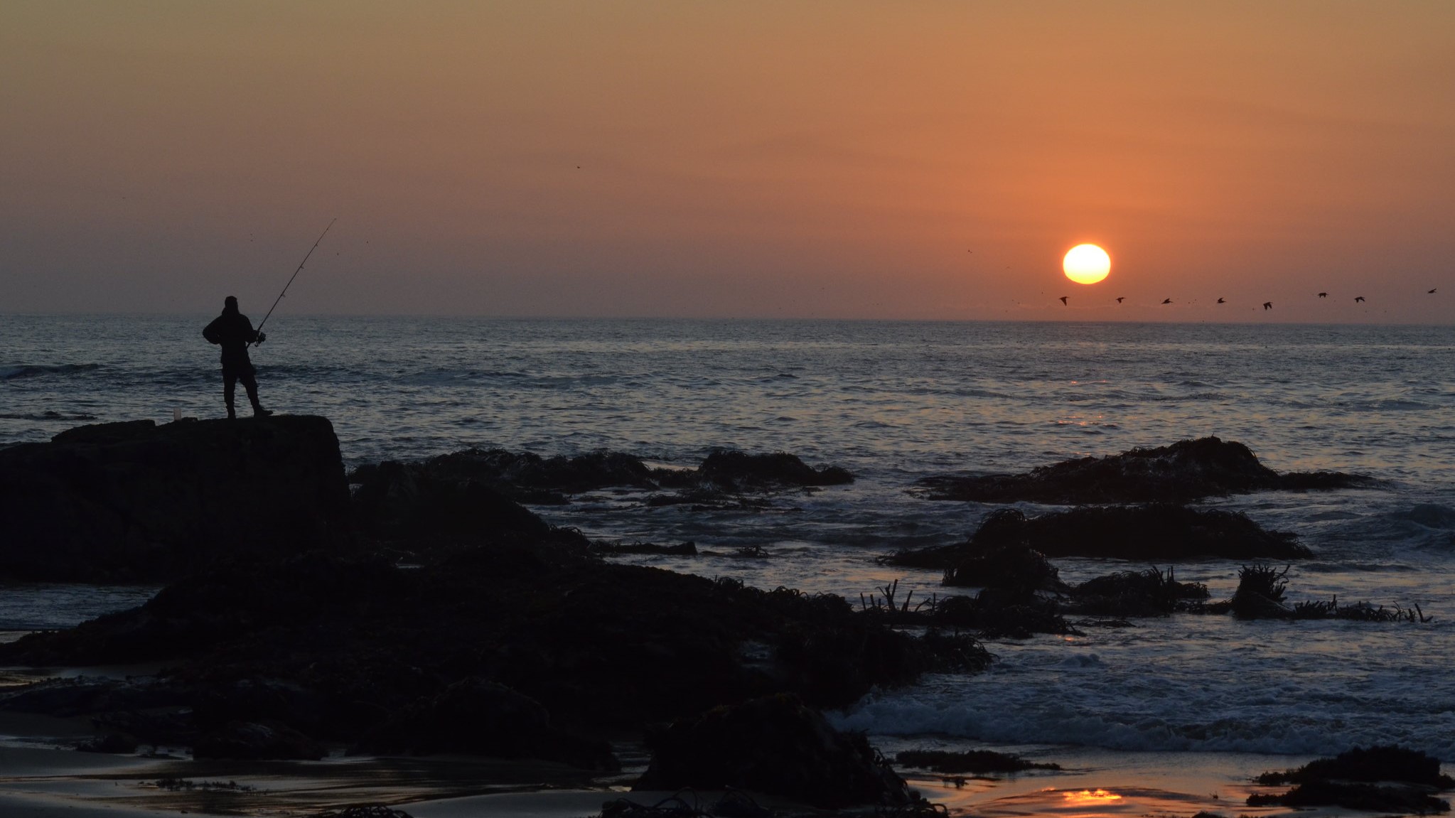 Fotografía de fondo 3