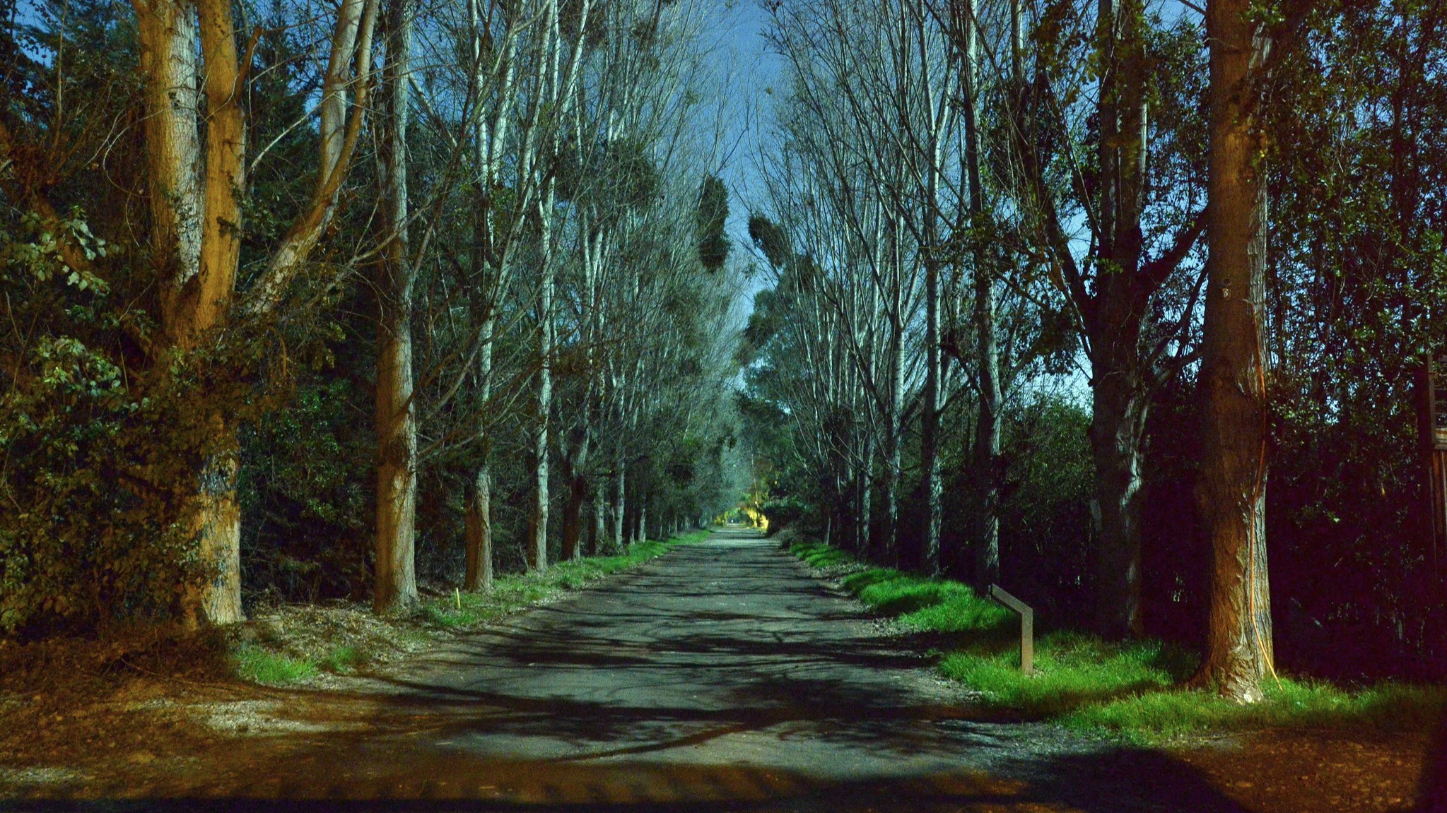 Fotografía de fondo 41