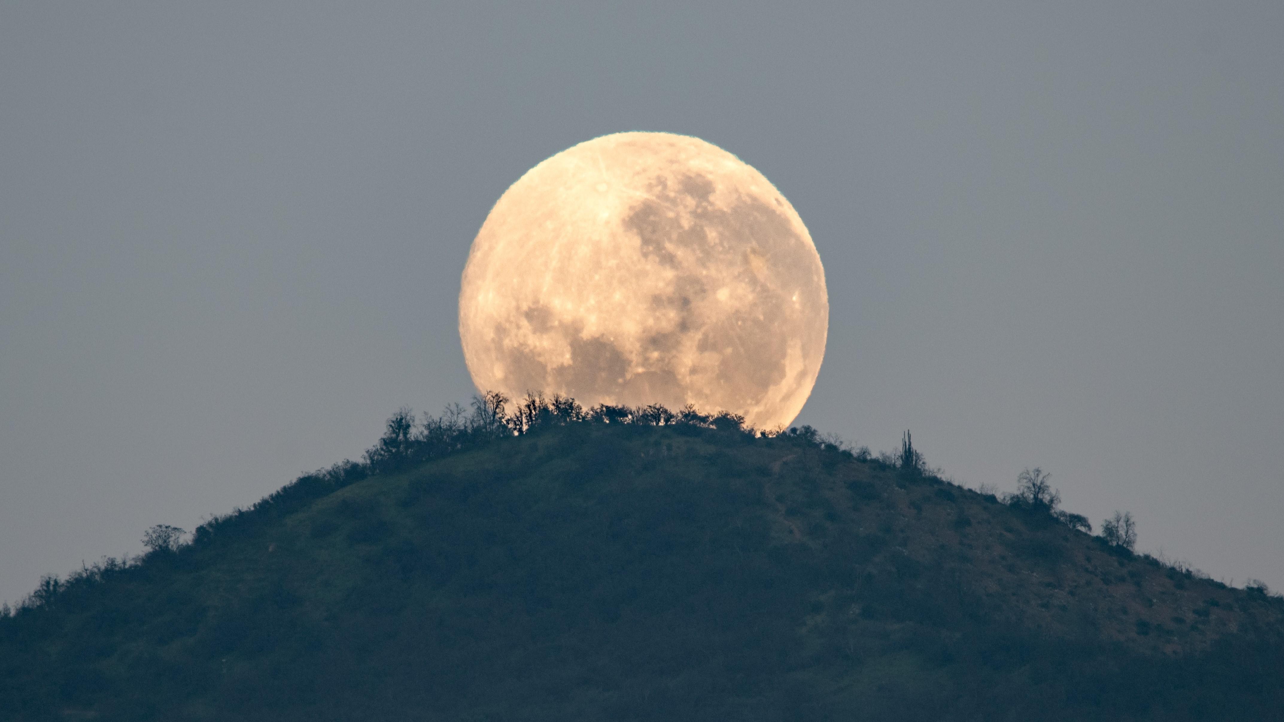 Fotografía de fondo 13