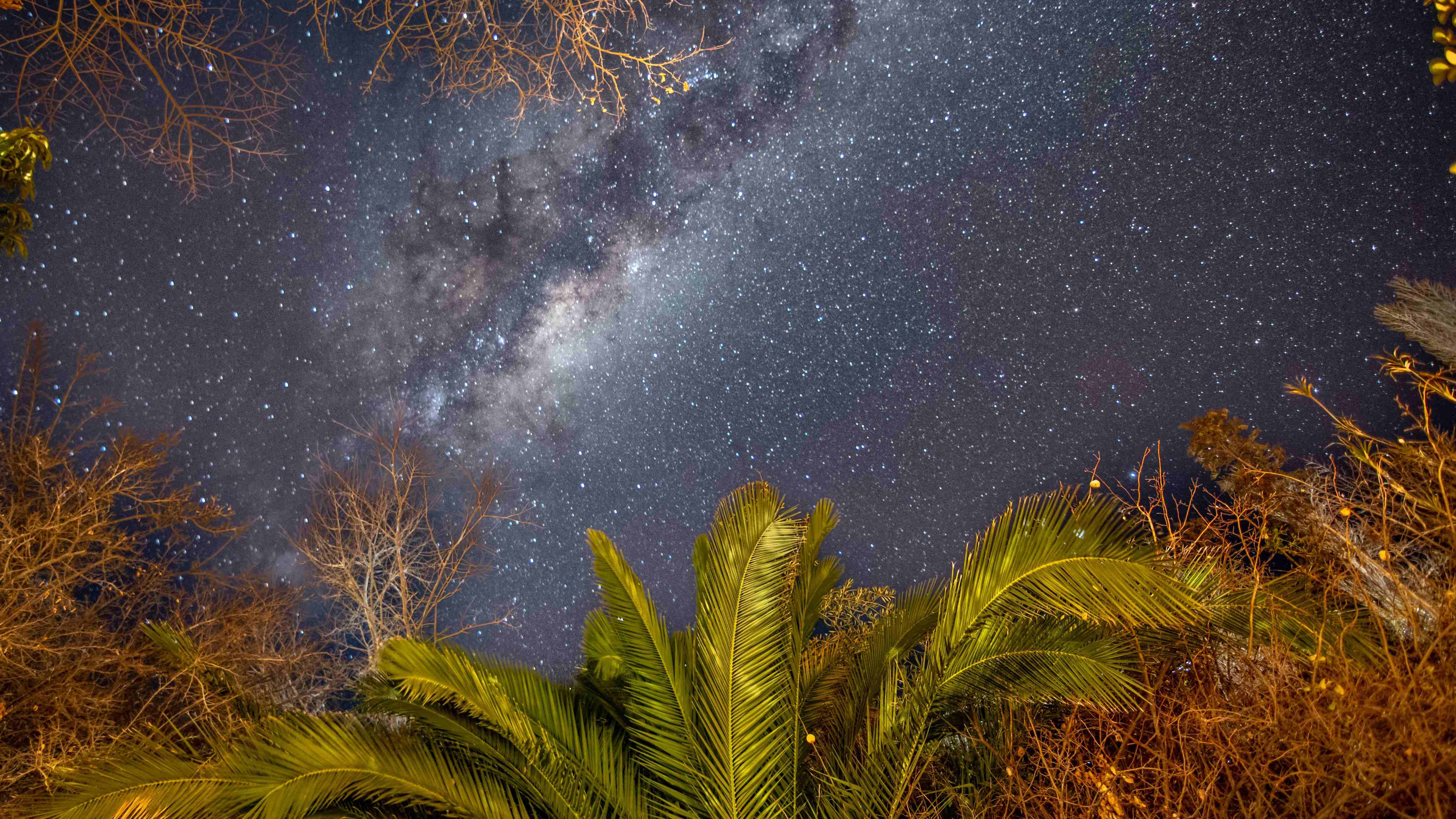 Fotografía de fondo 10