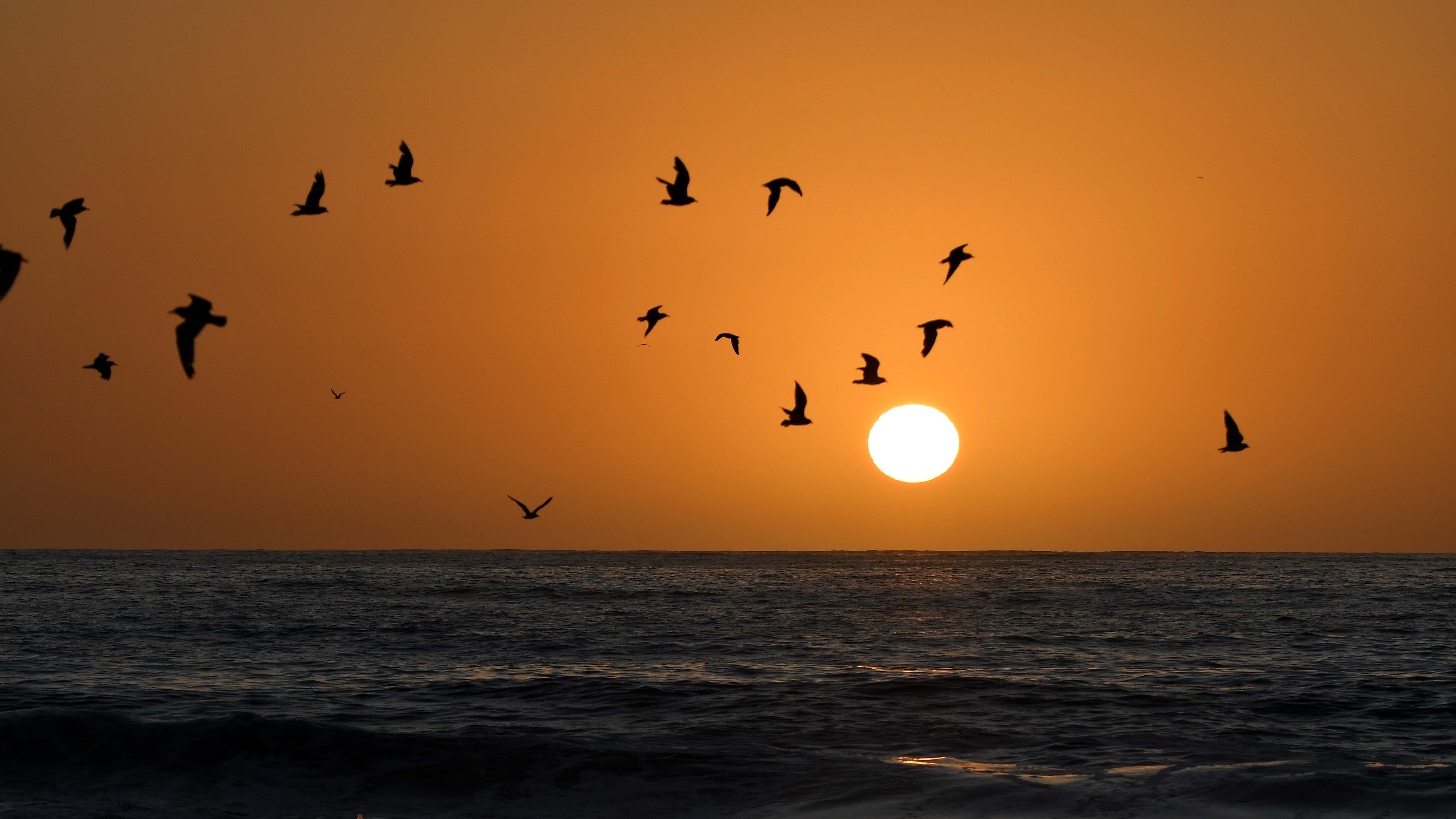 Fotografía de fondo 17