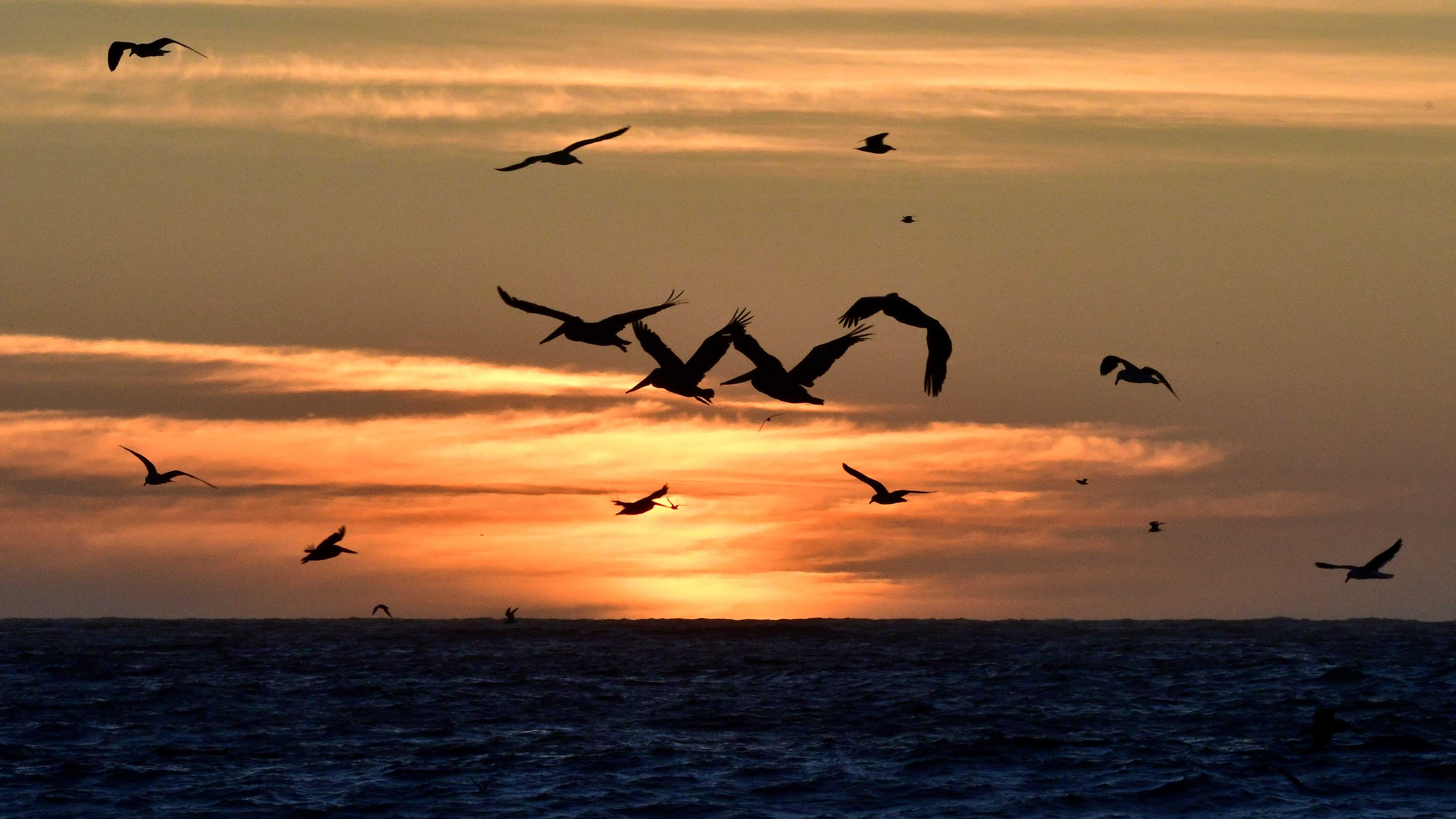 Fotografía de fondo 11