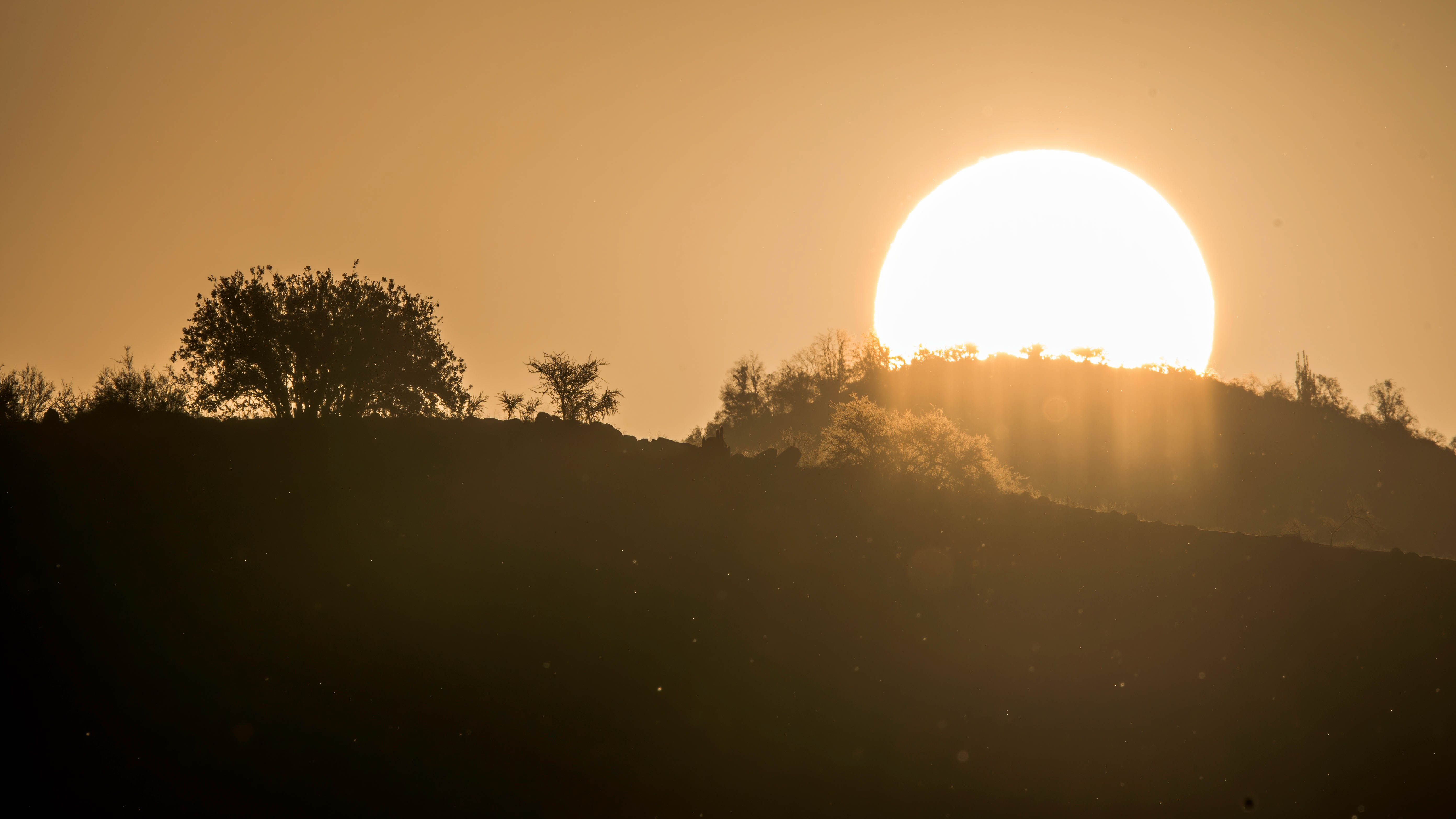 Fotografía de fondo 20